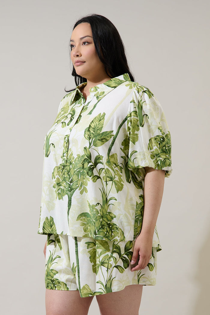 Palmet Tropical Jacine Collared Shirt Curve