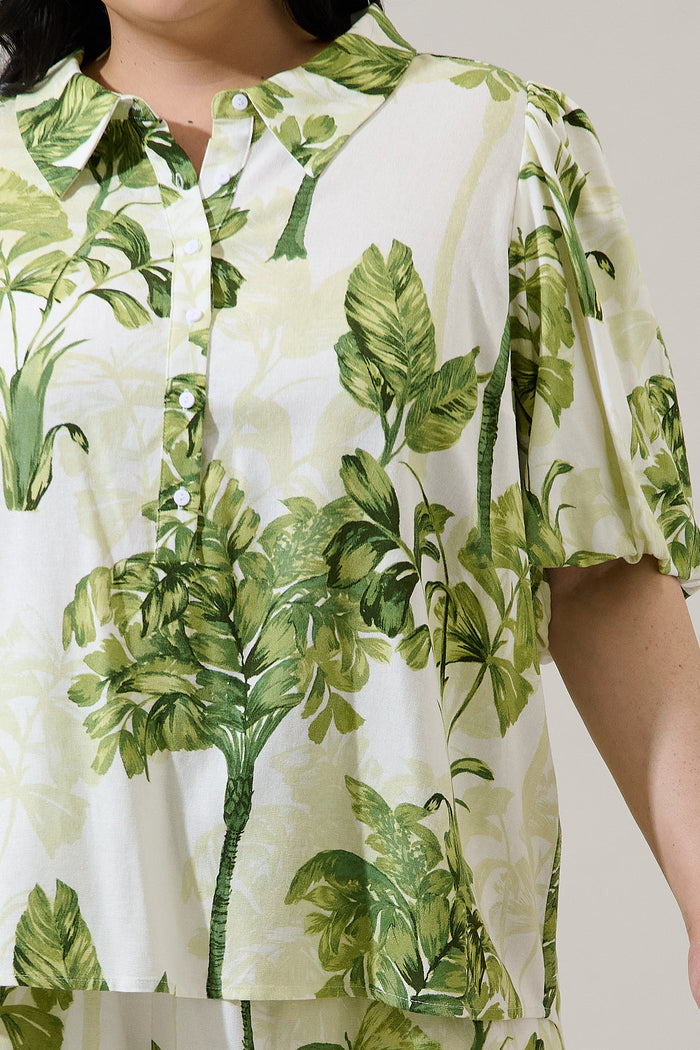 Palmet Tropical Jacine Collared Shirt Curve