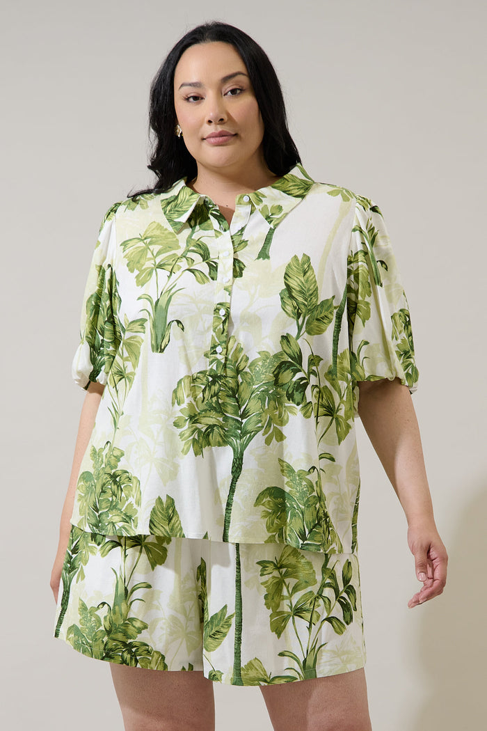Palmet Tropical Jacine Collared Shirt Curve