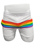 RAINBOW STRIPE MESH SHORTS