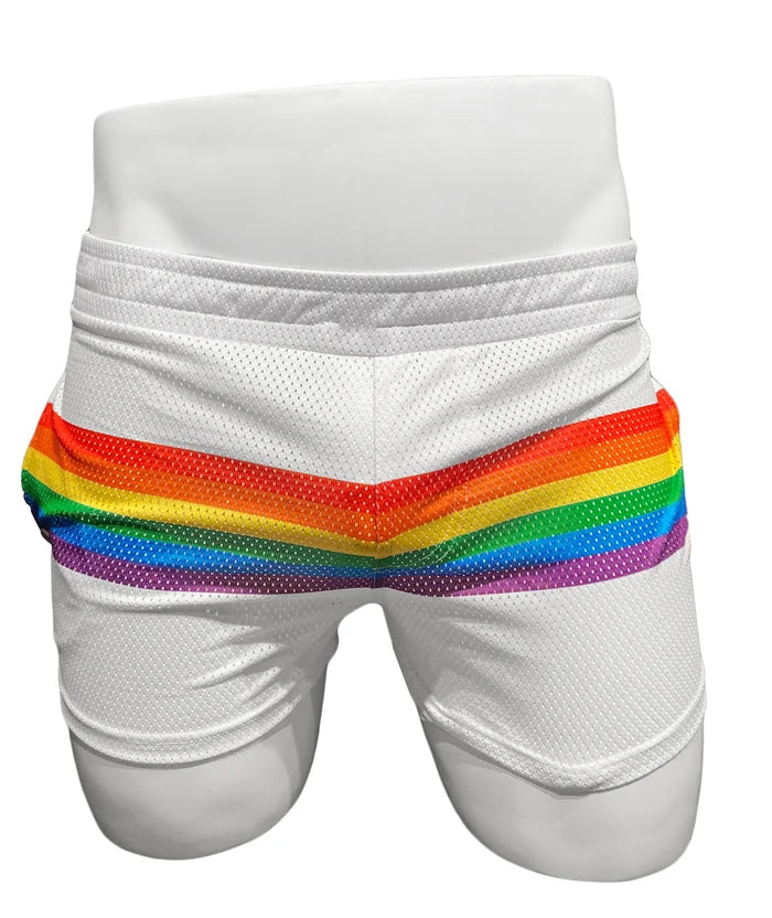 RAINBOW STRIPE MESH SHORTS