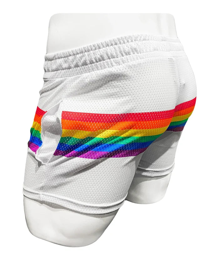 RAINBOW STRIPE MESH SHORTS