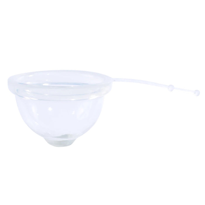 Reusable Menstrual Disc