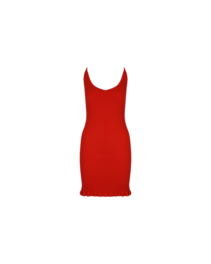 RINA MINI DRESS FRUIT PUNCH