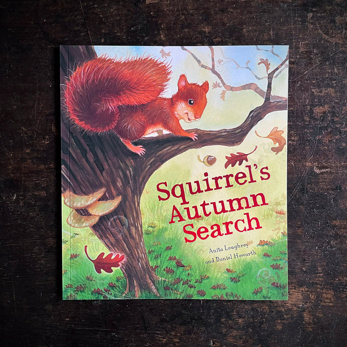 Squirrel's Autumn Search