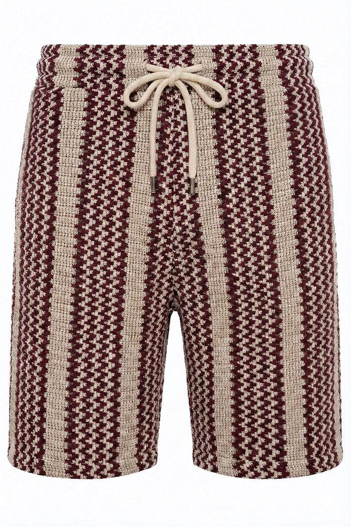 Textured Stripe Knit Regular Fit Shorts