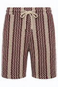 Textured Stripe Knit Regular Fit Shorts