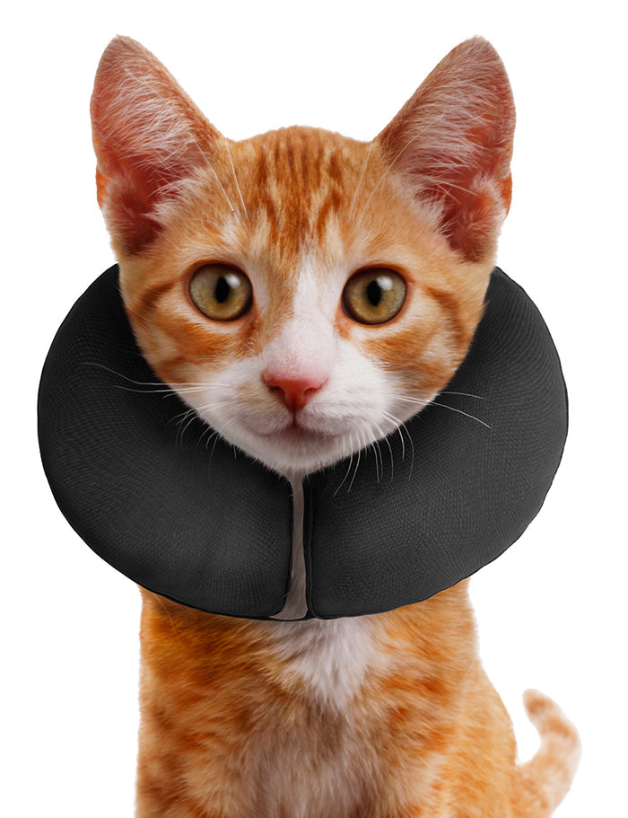 Zenpet ProCollar